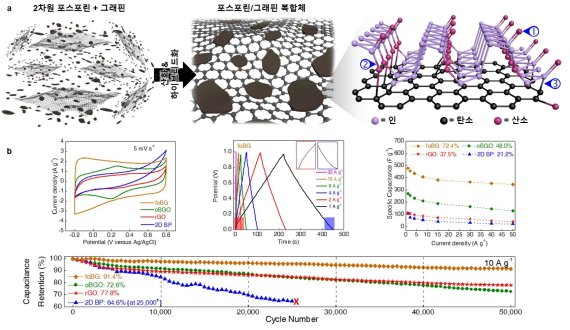2파원 포스포린/그래핀 복합체 구조 및 안정성 (a) 표면 산화 제어 및 하이브리드화를 통해 2차원 포스포린/그래핀 복합체가 조립되고, 3가지 산화된 인 관능기(O-P=O, C-O-P=O, C-P=O)가 존재함. (b) 2차원 포스포린/그래핀 복합체는 최대 478F/g 방전용량을 보여주고, 고속 전류밀도 50A/g에서도 충전 대비 방전용량이 96% 유지되었음. 그리고, 50,000회의 장기 충방전 후에도 약 91%의 높은 장기 안정성을 보여줌.