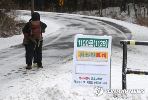 제주도 산지에 대설경보가 내려진 29일 오전 제주시 1100도로 입구에서 차량 진입이 통제되고 있다. [사진=연합뉴스]