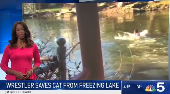 호수에 빠진 고양이 구하려 얼음물에 뛰어들어간 '아쿠아맨'