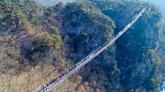 31일 원주시는 소금산 출렁다리가 개통 1주년을 맞이했다 고 밝혔다. 사진=원주시 제공