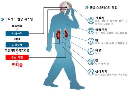 체내 삽입형 스트레스 호르몬 센서 개발