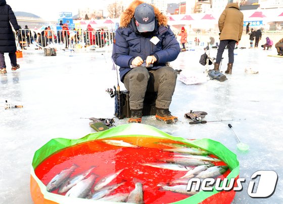 4일 오전 강원 홍천군 홍천강변에서 열린 제7회 홍천강 꽁꽁축제에서 얼음낚시가 한창이다. 이번 축제는 오는 20일까지 홍천강변 일원에서 ‘홍천강 황금송어를 잡아라!’라는 슬로건으로 계속된다. 2019.1.4/뉴스1 © News1 하중천 기자