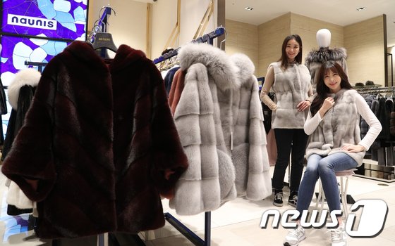 2일 서울 중구 신세계백화점 본점에서 모델들이 99만원 모피 상품을 선보이고 있다. 신세계백화점 강남점과 경기점, 센텀시티점, 대구신세계점은 오는 4일부터 '모피 클리어런스' 행사를 열고 동우모피 후드 재킷(6개 한정), 사바띠에 머플러(15개 한정), 진도모피 밍크재