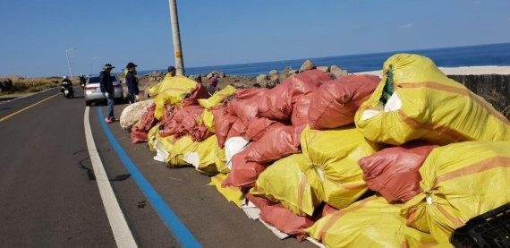 제주도내 해변에서 수거된 해양쓰레기. fnDB