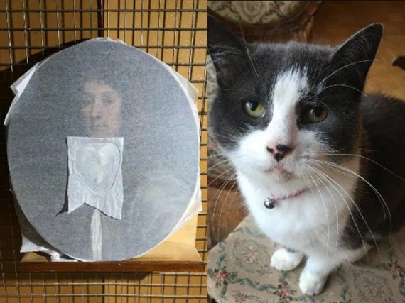 '750만원짜리' 17세기 초상화 망가뜨린 고양이