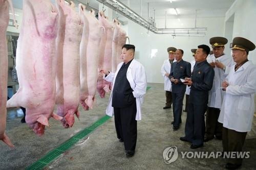 2017년 돼지공장 시찰하는 김정은 북한 국무위원장 [연합뉴스 자료사진]