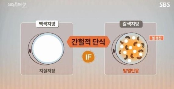 간헐적 단식 방법, 저녁7시~아침 11시 공복→16㎏ 감량 ‘효과’