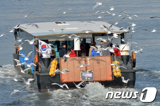포항 12경에 새롭게 선정된 포항운하 크루즈 여행.(뉴스1자료) © News1 최창호 기자