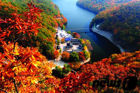 포항 12경에 선정된 남구 운제산 오어사 단풍.(뉴스1자료)© News1 최창호 기자
