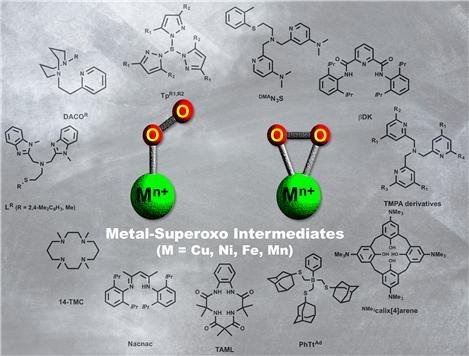 생체 내에서 중요한 역할을 하는 금속 효소의 중간체 종으로 밝혀진 구리, 니켈, 철, 망간-수퍼옥소 종에 대해 연구하기 위해 다양한 모방 화합물을 이용한 금속-수퍼옥소 종이 합성되었다. 금속-수퍼옥소 종은 산소의 배위 형태에 따라 엔드온 배위 형태(왼쪽), 사이드온 배위 형태 (오른쪽)인 두 가지로 구분된다. 사진=한국연구재단