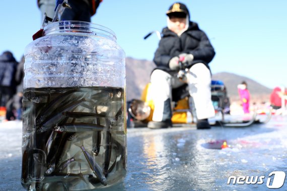 제19회 인제빙어축제 개막일인 26일 강원 인제군 남면 빙어호 얼음 위에서 방문객들이 빙어낚시를 즐기고 있다. 2019.1.26/뉴스1 © News1 김경석 기자