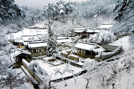 도산서원 설경. 사진=안동시 제공