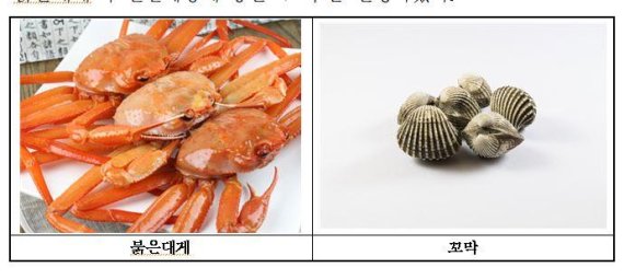 2월의 수산물 살이 꽉찬 '붉은 대게' 빈혈 예방 '꼬막' 선정