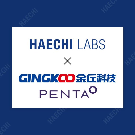 해치랩스, 중국 블록체인 기업 GINGKOO와 업무협약