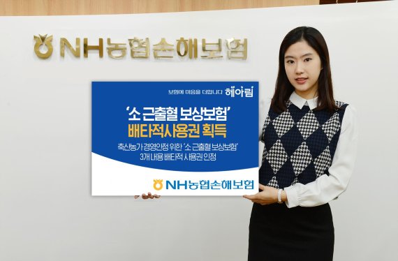 NH농협손보, '소 근출혈 보상보험'배타적사용권 획득