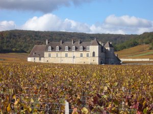 프랑스 부르고뉴 와인의 심장이자 성지로 불리는 끌로드 부조. 시토회 수도사들이 처음 세운 끌로드 부조는 십자군 전쟁으로 부흥기를 맞아 오늘날의 부르고뉴 와인의 중심지 역할을 하고 있다.