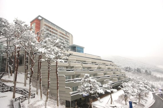 하이원리조트 힐콘도 겨울 풍경