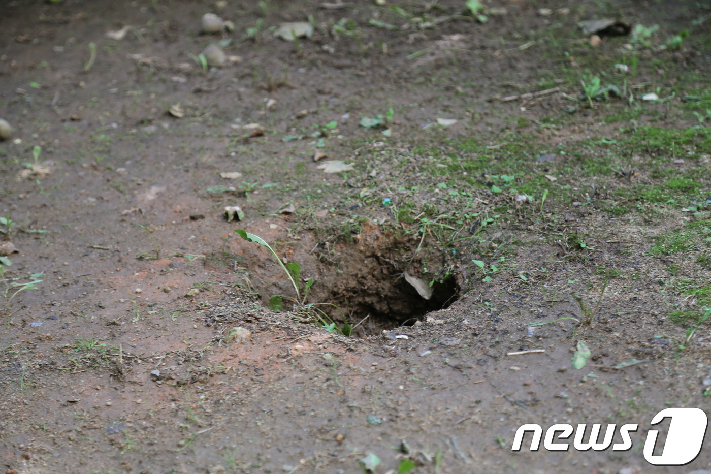 아파트 벽에 '주먹'만한 균열이.. 잠 못드는 주민들