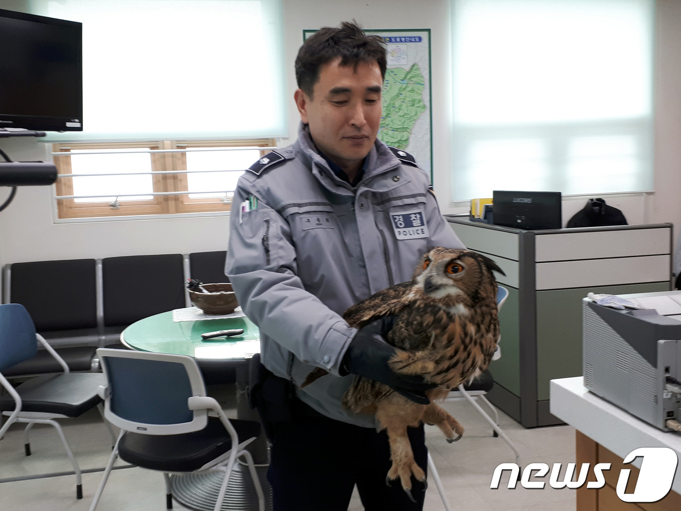 한달새 닭 11마리 꿀꺽, '양계장 습격사건' 범인은 놀랍게도..