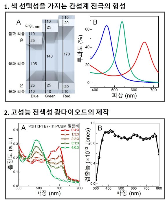 색 선택성을 가지는 간섭계 전극의 형성 광학 시뮬레이션을 통해 적색광, 녹색광, 청색광(R/G/B)에 대해 높은 투과도를 가지는 두께 조합을 조사했다.