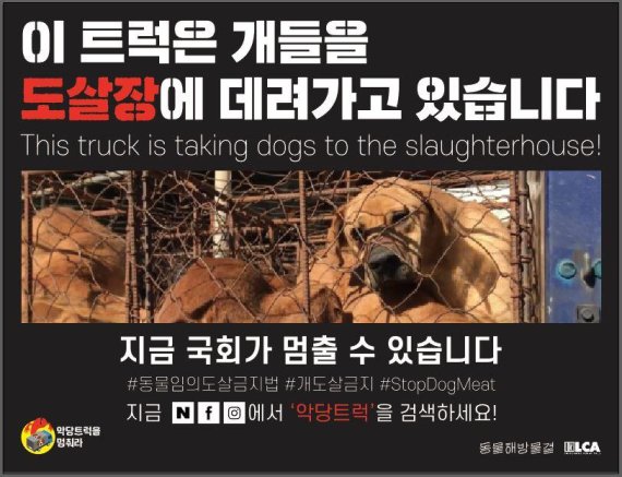 ‘동물 임의도살 금지법' 알리는 '악당 트럭' 달린다