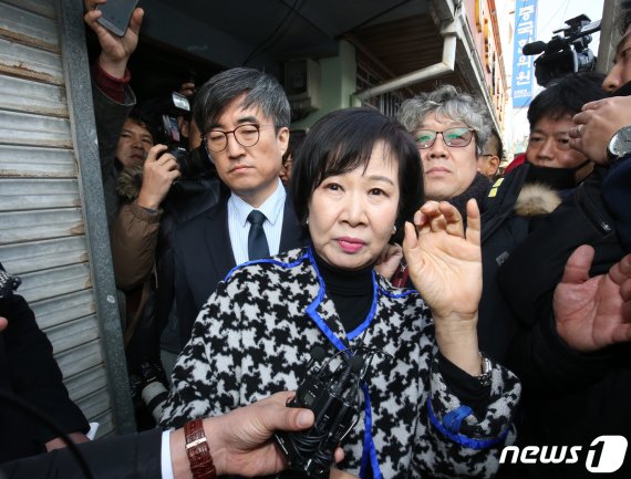 부동산 투기 의혹을 받고 있는 손혜원 의원. © News1 황희규 기자