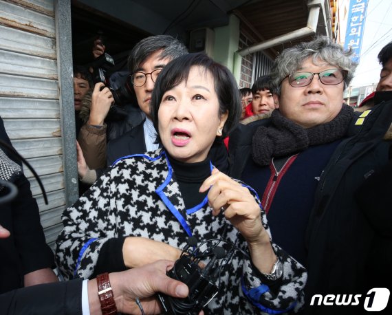 부동산 투기 의혹을 받고 있는 손혜원 의원. © News1 황희규 기자