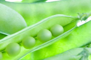 [질환과 음식] 변비, 식이섬유소가 무조건 좋을까