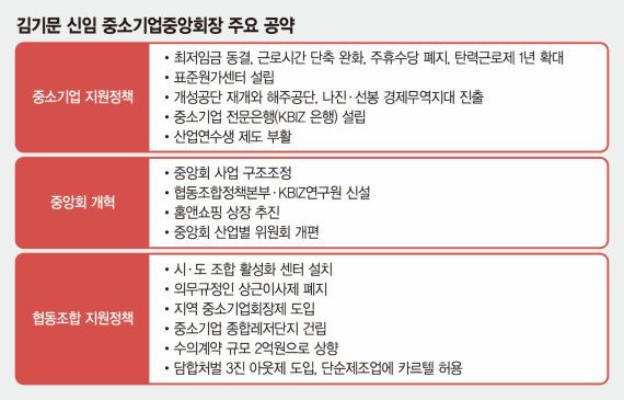 [중소기업중앙회 '中企시대' 열어가려면(1)] '최저임금 동결· 탄력근로 1년 확대' 노동현안 해결이 급선무