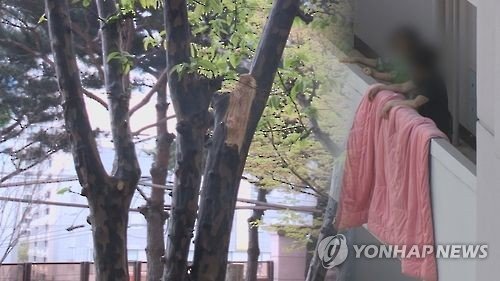 90대 할머니, 아파트 베란다서 이불 털다가 추락사