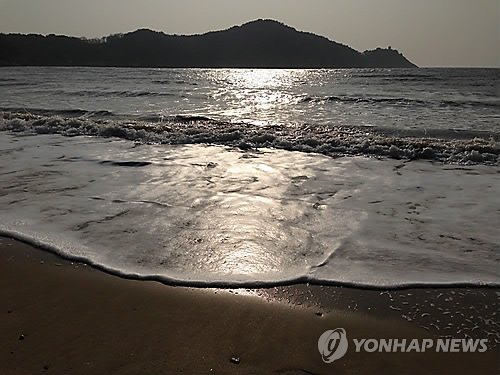 [연합뉴스 자료사진] /사진=연합뉴스