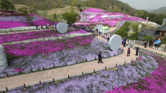 산청생초국제조각공원 꽃잔디축제/사진=경남도