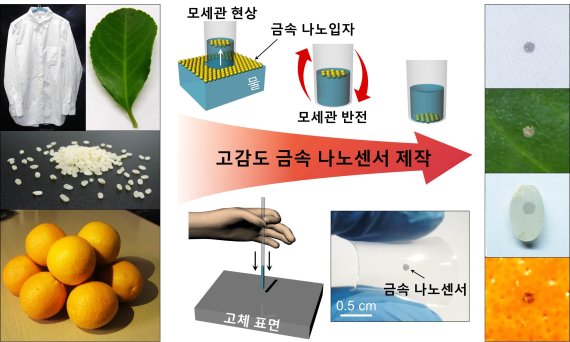 모세관 현상을 이용한 초간편 나노센서 제작기술 가느다란 관이 물을 빨아들이는 ‘모세관 현상’을 활용한 고감도 금속 나노센서 제작기술의 모식도임. 모세관이 빨아들인 물이 모세관 내부에서 중력에 의해 자유자재로 이동하는 현상에서 착안하여 다양한 제품 표면에 금속 나노센서를 도입함.