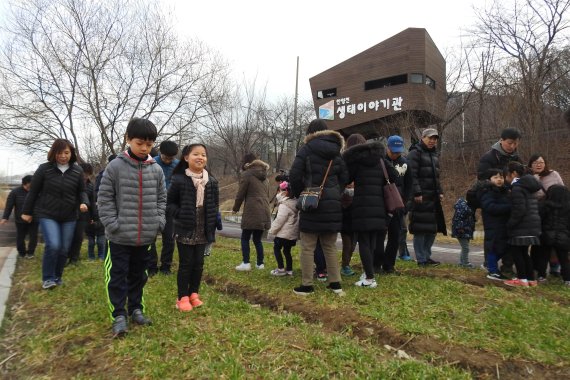 [포토뉴스] 안양천변 청보리 밟기