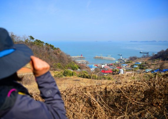 안산 풍도와 야생화 그리고 별천지 - 파이낸셜뉴스