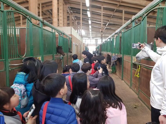 부산 범방동에 위치한 한국마사회 렛츠런파크 부산경남본부 승마랜드를 방문한 어린이들이 즐겁게 말들을 관람하고 있다. 렛츠런파크 부산경남본부 제공