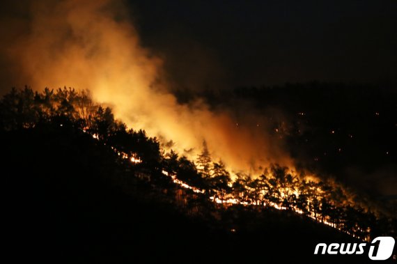 27일 오후 5시 40분쯤 경북 구미시 고아읍 대망리 왕산골 캠핑장 뒷산에서 난 산불이 강한 바람을 타고 빠른 속도로 번지고 있다. 2019.3.27/뉴스1 © News1 정우용 기자