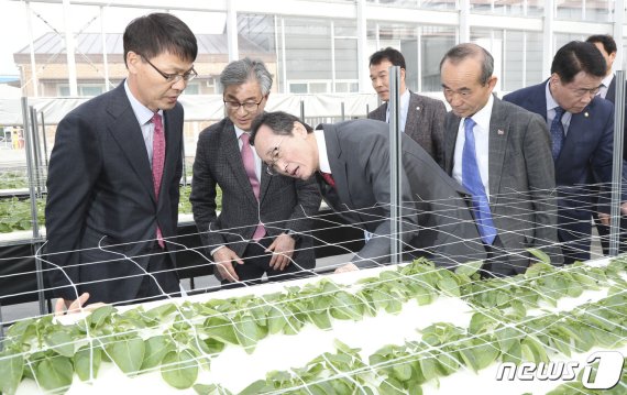 송하진 전북지사는 28일 박준배 김제시장과 함께 무병묘 씨감자 생산 첨단농업 종자사업소를 방문했다.(전북도 제공)2019.03.28 © News1 이정민 기자
