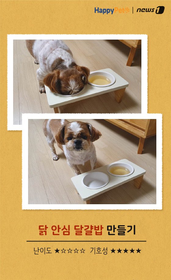 [펫레시피]반려견을 위한 착한 간식 만들기 No.65 (서울=뉴스1) 박라경 에디터 = 사랑하는 반려견에게 관심과 애정을 표현하는 방법 중 하나는 바로 맛있는 음식을 제공하는 것. 특히 하나의 트렌드로 자리 잡은 수제간식은 화학첨가물이나 인공색소가 들어가지 않아 건강