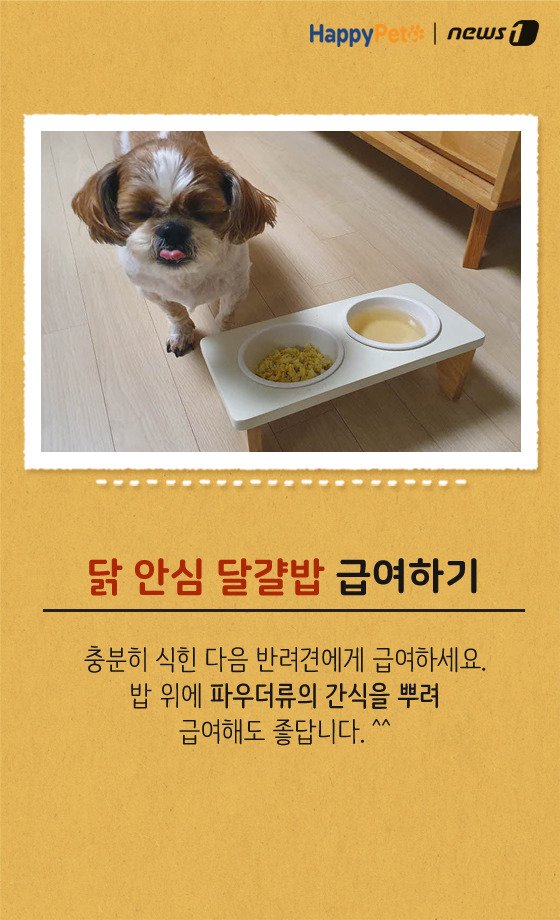 [펫레시피]반려견을 위한 착한 간식 만들기 No.65 (서울=뉴스1) 박라경 에디터 = 사랑하는 반려견에게 관심과 애정을 표현하는 방법 중 하나는 바로 맛있는 음식을 제공하는 것. 특히 하나의 트렌드로 자리 잡은 수제간식은 화학첨가물이나 인공색소가 들어가지 않아 건강