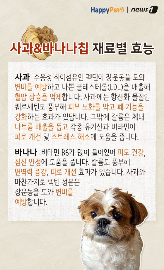 [펫레시피]반려견을 위한 착한 간식 만들기 No.61 (서울=뉴스1) 박라경 에디터 = 과일은 각종 비타민과 미네랄, 식이섬유 등 다양한 영양성분이 들어있어 건강에 도움을 주는 식품이다. 특히 반려동물들에게도 기호성이 좋은데, 과일 속 당과 식이섬유는 과도하게 섭취할