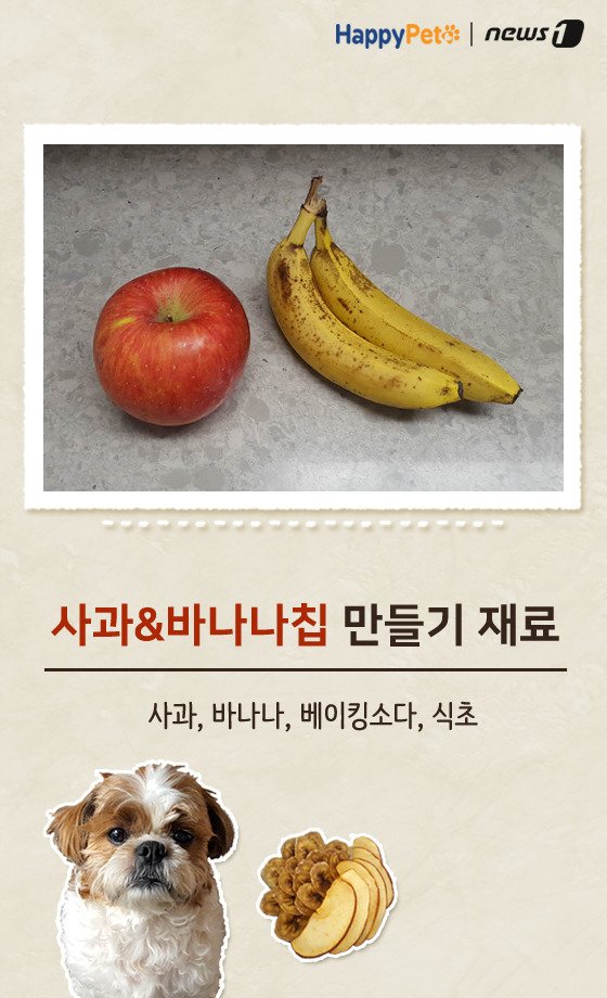 [펫레시피]반려견을 위한 착한 간식 만들기 No.61 (서울=뉴스1) 박라경 에디터 = 과일은 각종 비타민과 미네랄, 식이섬유 등 다양한 영양성분이 들어있어 건강에 도움을 주는 식품이다. 특히 반려동물들에게도 기호성이 좋은데, 과일 속 당과 식이섬유는 과도하게 섭취할