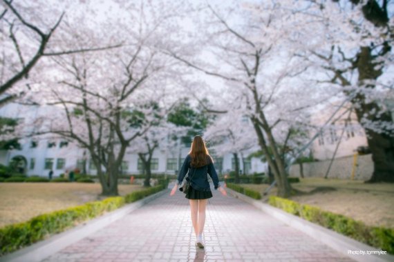 EOS-1D X | EF16-35mm F2.8L II USM으로 촬영(출처: 캐논 블로그)