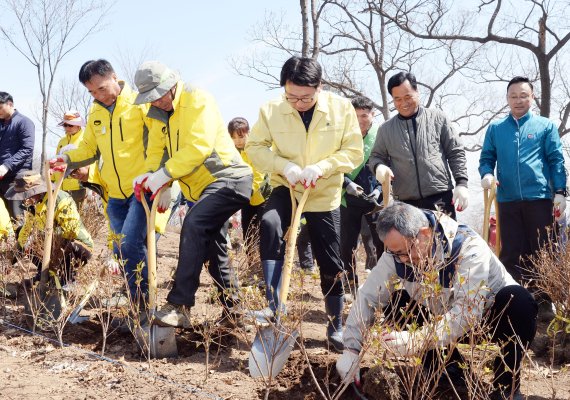 파주시 ‘월롱산 철쭉동산’ 조성 추진