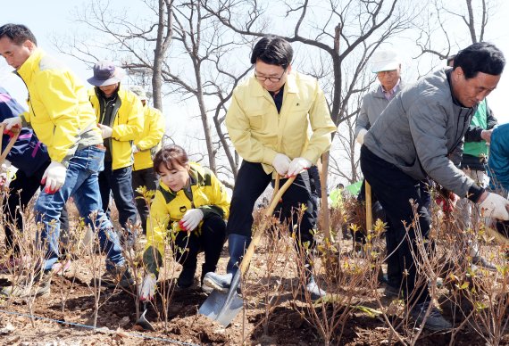 파주시 ‘월롱산 철쭉동산’ 조성 추진