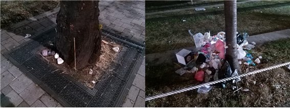 ▲나무 아래 쌓인 ‘쓰레기 그늘’ /사진=윤아림 인턴기자