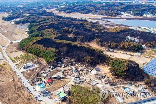 산불 피해지역 새마을금고 '최대 1년 대출 상환유예 등 긴급 금융지원 나선다'