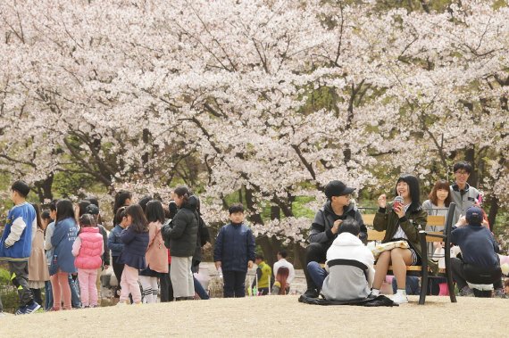 2018 의왕시청 벚꽃축제. 사진제공=의왕시