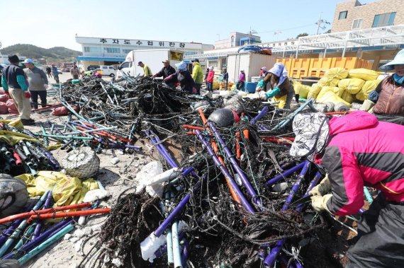 추자도 어민과 공무원, 군인들이 해양쓰레기를 분리수거 하는 모습. 사진=제주도의회 제공