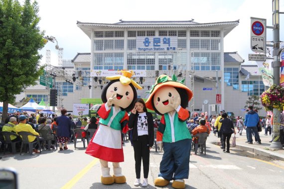 양평 용문산산나물축제 26일 개막